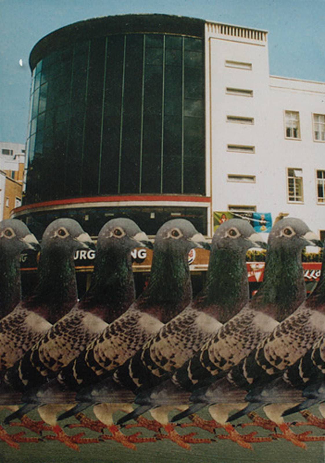 A painting of pigeons