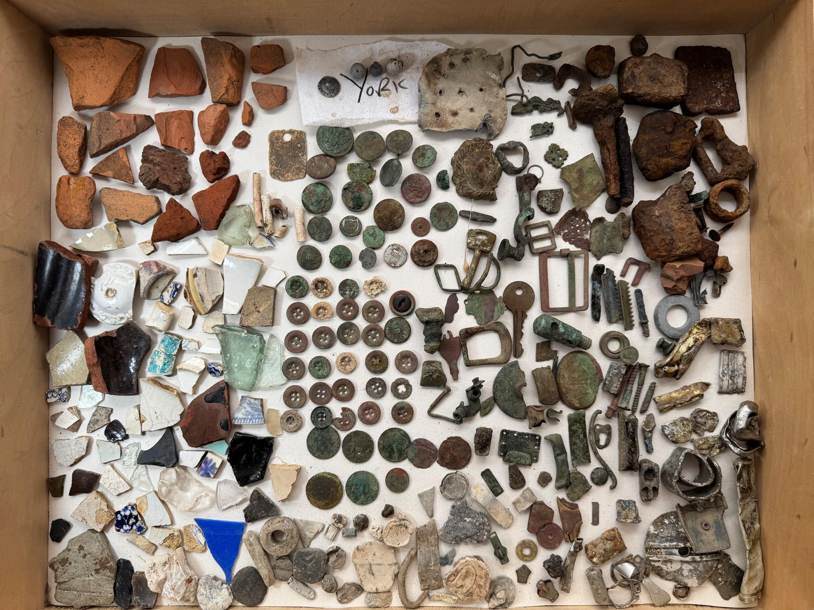 Objects and material gathered during fieldwork around Riccall
